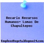 Becario Recursos Humanos- Lomas De Chapultepec