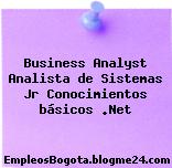 Business Analyst Analista de Sistemas Jr Conocimientos básicos .Net