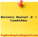 Business Analyst Jr – Cuauhtémoc