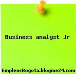 Business analyst Jr