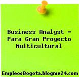 Business Analyst – Para Gran Proyecto Multicultural