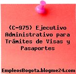 (C-975) Ejecutivo Administrativo para Trámites de Visas y Pasaportes