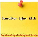 Consultor Cyber Risk
