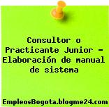 Consultor o Practicante Junior – Elaboración de manual de sistema