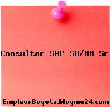 Consultor SAP SD/MM Sr