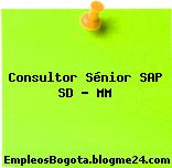 Consultor Sénior SAP SD – MM