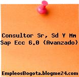 Consultor Sr, Sd Y Mm Sap Ecc 6.0 (Avanzado)