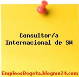 Consultor/a Internacional de SW