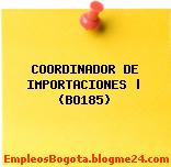 COORDINADOR DE IMPORTACIONES | (BO185)