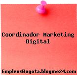 Coordinador Marketing Digital