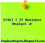I741] | IT Business Analyst Jr