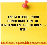INEGENIERO PARA HOMOLOGACION DE TERMINALES CELULARES – GSM