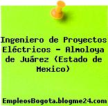 Ingeniero de Proyectos Eléctricos – Almoloya de Juárez (Estado de Mexico)