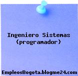 Ingeniero Sistemas (programador)