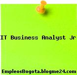 IT Business Analyst Jr