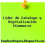 Lider de Catalogo y Digitalización ECommerce