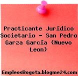 Practicante Jurídico Societario – San Pedro Garza García (Nuevo Leon)