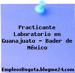 Practicante Laboratorio en Guanajuato – Bader de México
