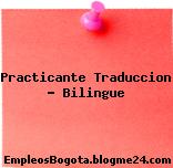 Practicante Traduccion – Bilingue