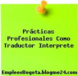 Prácticas Profesionales Como Traductor Interprete