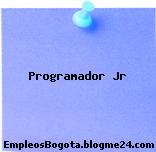 Programador Jr