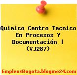 Quimico Centro Tecnico En Procesos Y Documentación | (VJ287)