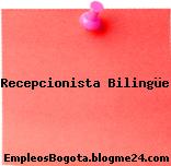 Recepcionista Bilingue