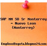 SAP MM SD Sr Monterrey – Nuevo Leon (Monterrey)