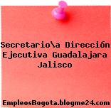 Secretario\a Dirección Ejecutiva Guadalajara Jalisco