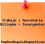 Trabajo : Secretaria Bilingüe – Insurgentes