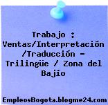 Trabajo : Ventas/Interpretación /Traducción – Trilingüe / Zona del Bajío