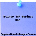 Trainee SAP Businss One