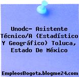 Unodc- Asistente Técnico/A (Estadístico Y Geográfico) Toluca, Estado De México