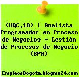(UQC.18) | Analista Programador en Proceso de Negocios – Gestión de Procesos de Negocio (BPM)