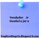 Vendedor Jr Guadalajara