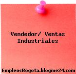 Vendedor/ Ventas Industriales