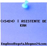 (XS424) | ASISTENTE DE KAM