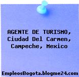 AGENTE DE TURISMO, Ciudad Del Carmen, Campeche, Mexico