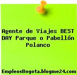 Agente de Viajes BEST DAY Parque o Pabellón Polanco
