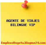 AGENTE DE VIAJES BILINGUE VIP