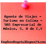 Agente de Viajes – Turismo en Colima – SAS Empresarial de México, S. A de C.V