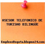 ASESOR TELEFONICO DE TURISMO BILINGÜE