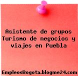 Asistente de grupos Turismo de negocios y viajes en Puebla