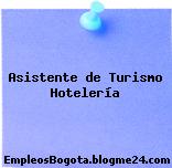 Asistente de Turismo Hotelería
