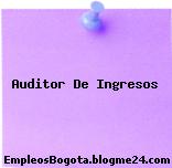 Auditor De Ingresos