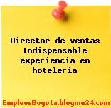 Director de ventas Indispensable experiencia en hoteleria