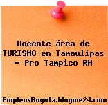 Docente área de TURISMO en Tamaulipas – Pro Tampico RH