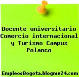 Docente universitario Comercio internacional y Turismo Campus Polanco