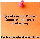 Ejecutivo De Ventas (sector Turismo) Monterrey