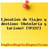 Ejecutivo de Viajes y destinos (Hoteleria y turismo) [VF237]